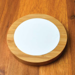 Phone &amp; Tablet Chargers - Bamboo Ranger Fast Wireless Charger