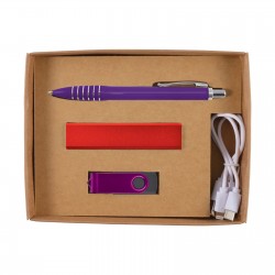 Business Gifts  - Chic Cardboard Gift Set