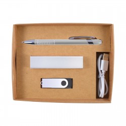 Business Gifts  - Sass Cardboard Gift Box