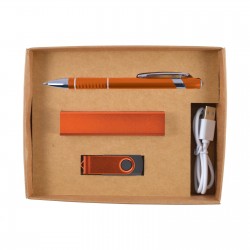 Business Gifts  - Sass Cardboard Gift Box