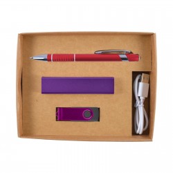 Business Gifts  - Sass Cardboard Gift Box