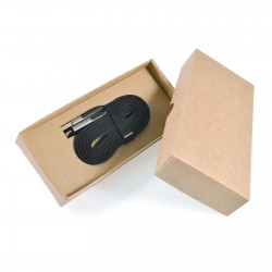 Business Gifts  - Fast Charge Cardboard Gift Set