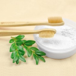 Travel Accessories  - Bamboo Toothbrush
