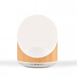Wired & Bluetooth Speakers  - Fresco Speaker & Wireless Charger