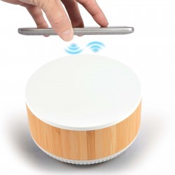 Wired & Bluetooth Speakers - Typhoon Speaker & Wireless Charger