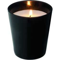 Candles  - Seasons Lunar Scented Candle