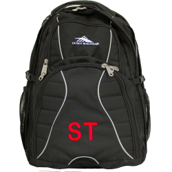 Backpacks  - High Sierra Swerve 17inch Backpack