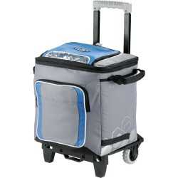 Cooler Bags  - Arctic Zone® 50 Can Cooler