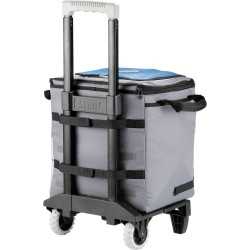 Cooler Bags  - Arctic Zone® 50 Can Cooler
