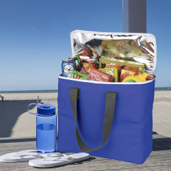 Cooler Bags  - Arctic Zone® 30-Can Foldable Freezer Tote