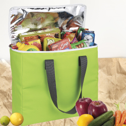 Cooler Bags  - Arctic Zone® 30-Can Foldable Freezer Tote