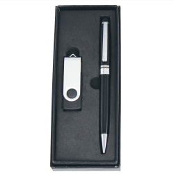 Business Gifts  - Gift Set - USB in 8G + Pen