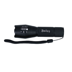 Torches  - Trekk 300 Lumens Torch
