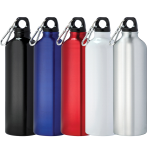 Drink Bottles - Metal - Pacific 825ml Aluminium Sports Bottle