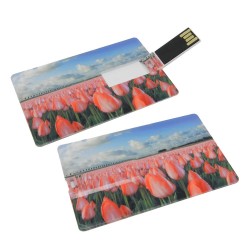 Flash Drives  - Superslim Credit Card USB - 8GB - Locally Stocked