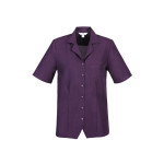 Ladies Corporate Shirts - Ladies Plain Oasis Overblouse Shirt