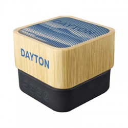 Wired & Bluetooth Speakers  - Dayton Wireless Speaker