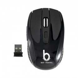 Computer Mice - Optica Wireless Mouse
