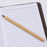 Bamboo &amp; Wood Enviro Pens - Picasso Eco Bamboo Pen
