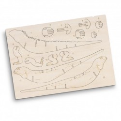 Executive Games  - BRANDCRAFT Tuatara Wooden Model