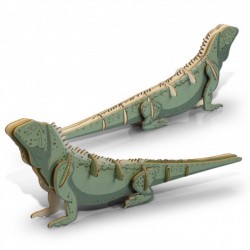 Executive Games  - BRANDCRAFT Tuatara Wooden Model