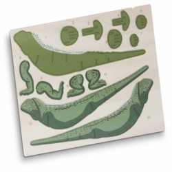 Executive Games  - BRANDCRAFT Tuatara Wooden Model