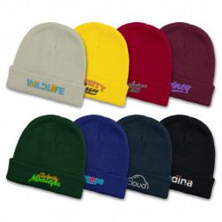 Beanies  - Everest Youth Beanie