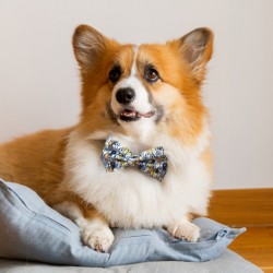 Toys, Games & Novelties  - Amigo Pet Bow Tie