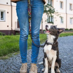 Custom Printed Lanyards  - Amigo Dog Leash