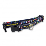 Pet Accessories - Amigo Dog Collar