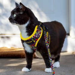 Custom Printed Lanyards  - Amigo Pet Harness