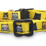 Pet Accessories - Amigo Cat Collar
