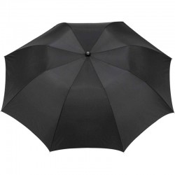 Folding Umbrellas  - Stromberg Folding Auto Umbrella