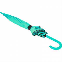 Corporate Umbrellas  - Auto Open Colorized Fashion Umbrella