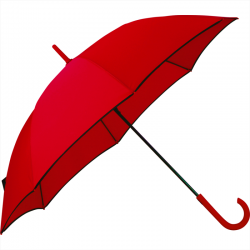 Corporate Umbrellas  - Auto Open Colorized Fashion Umbrella