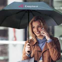 Folding Umbrellas  - Economist Folding Umbrella