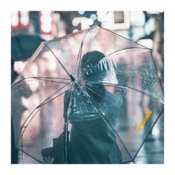 Custom Made Umbrellas  - Transparent Eight-Panel Umbrella