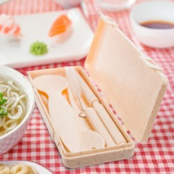 Homeware Products  - Ramen Cutlery Set
