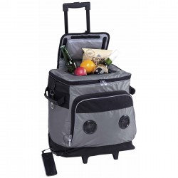 Cooler Bags  - Parkway Music Cooler