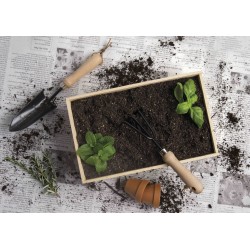 Homeware Products - Dig It Garden Box