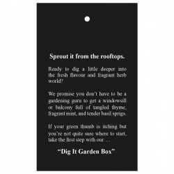 Homeware Products - Dig It Garden Box