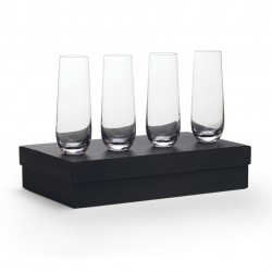 Glassware Gift Sets  - Stemless Champagne Flutes