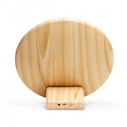 Wired & Bluetooth Speakers  - Lounge Disc Bluetooth Speaker