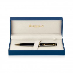 Executive Pens  - Waterman Expert Ballpoint Pen