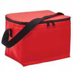Cooler Bags  - Arctic Cooler