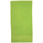 Beach Towels - Terry Velour Towel