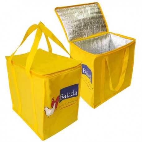 Cooler Bags  - Insulated Cooler bag